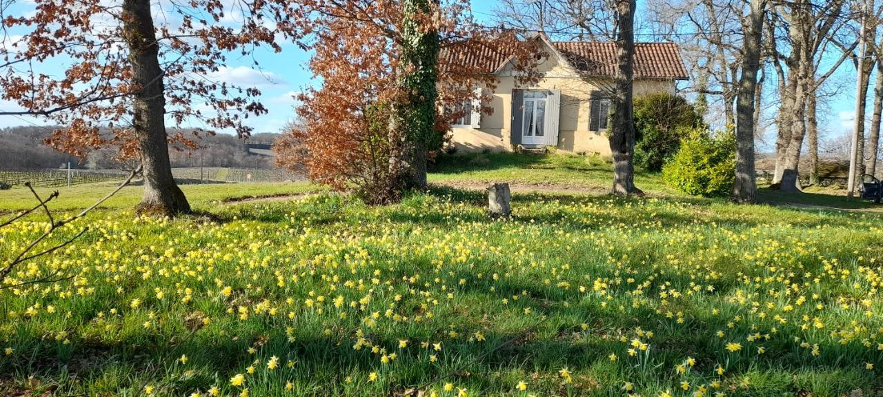 Moulin De Bigorre Villa Saint-Genes-de-Castillon ภายนอก รูปภาพ