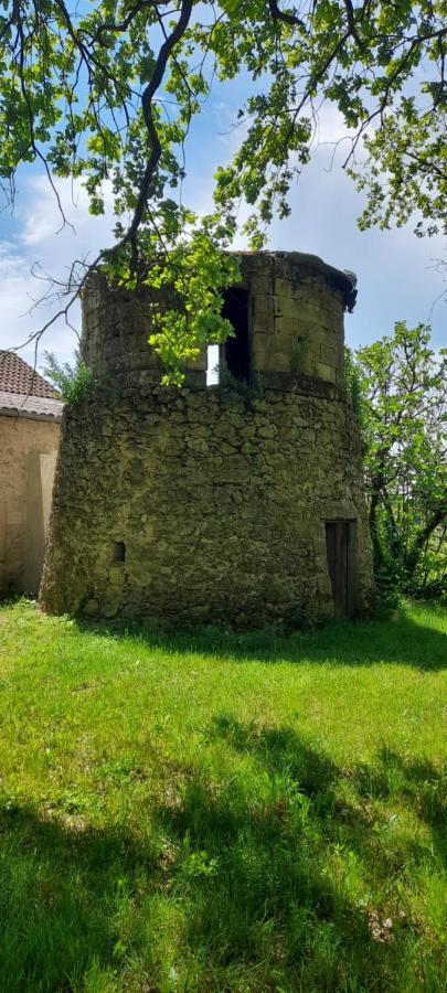 Moulin De Bigorre Villa Saint-Genes-de-Castillon ภายนอก รูปภาพ