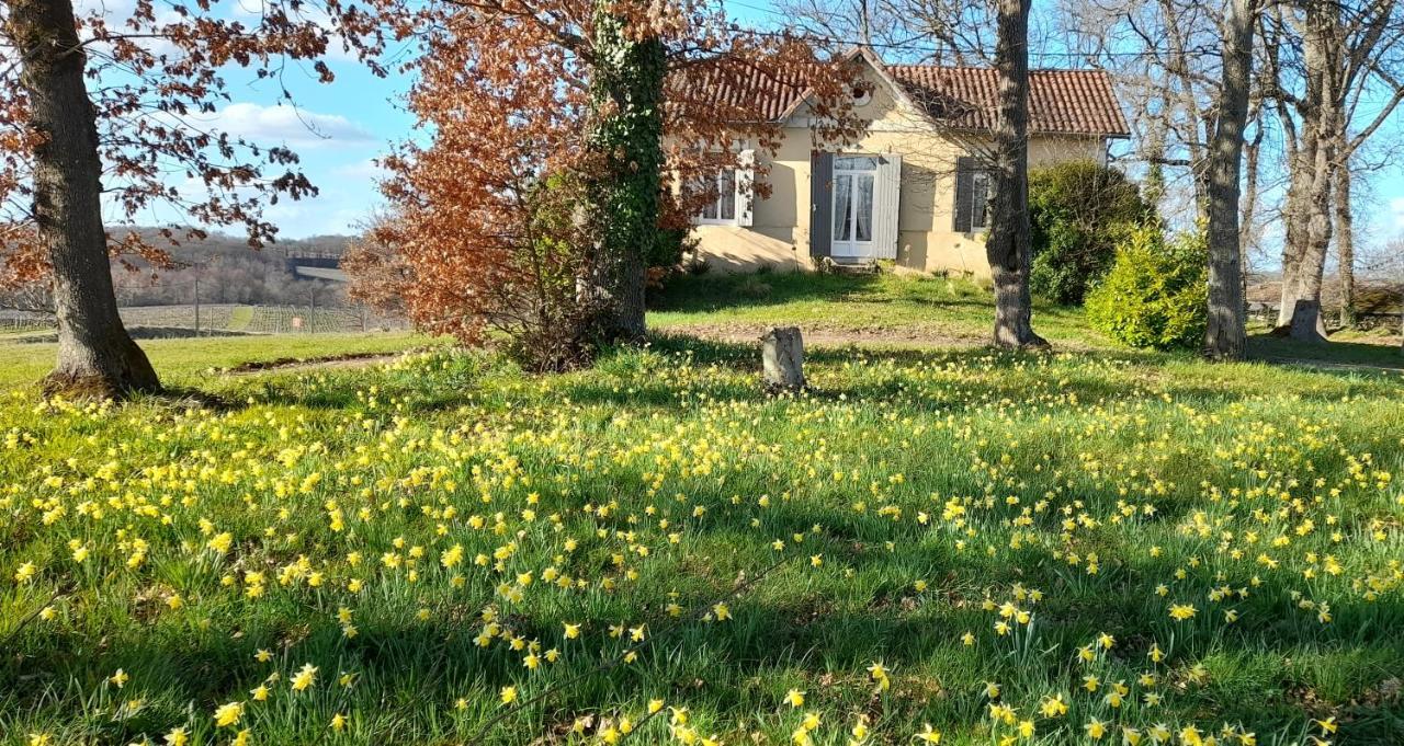 Moulin De Bigorre Villa Saint-Genes-de-Castillon ภายนอก รูปภาพ