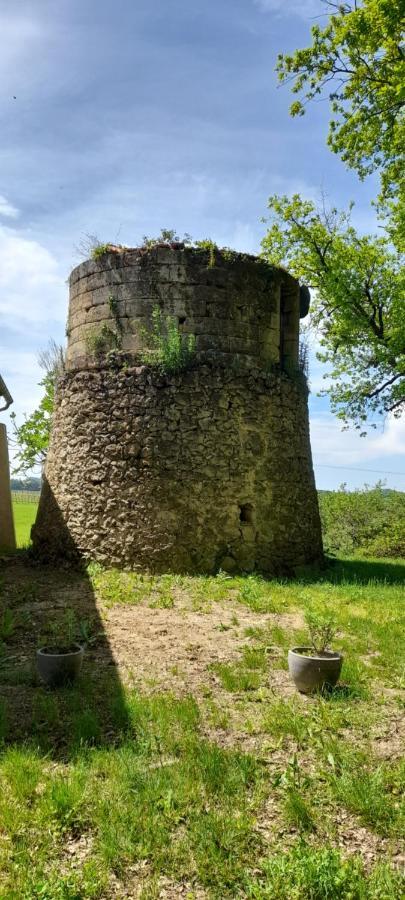 Moulin De Bigorre Villa Saint-Genes-de-Castillon ภายนอก รูปภาพ
